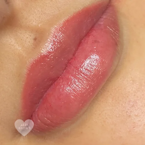 Lippigmentatie